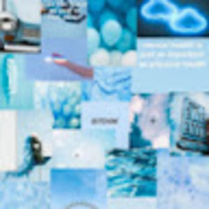 Meet your Posher, Bailey